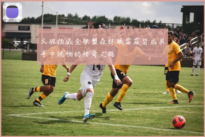 文班扬威全联盟森林狼雷霆皆成其手中玩物的传奇之路