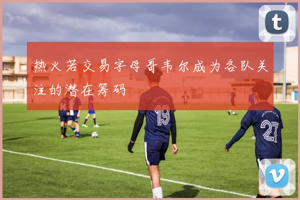 热火若交易字母哥韦尔成为各队关注的潜在筹码