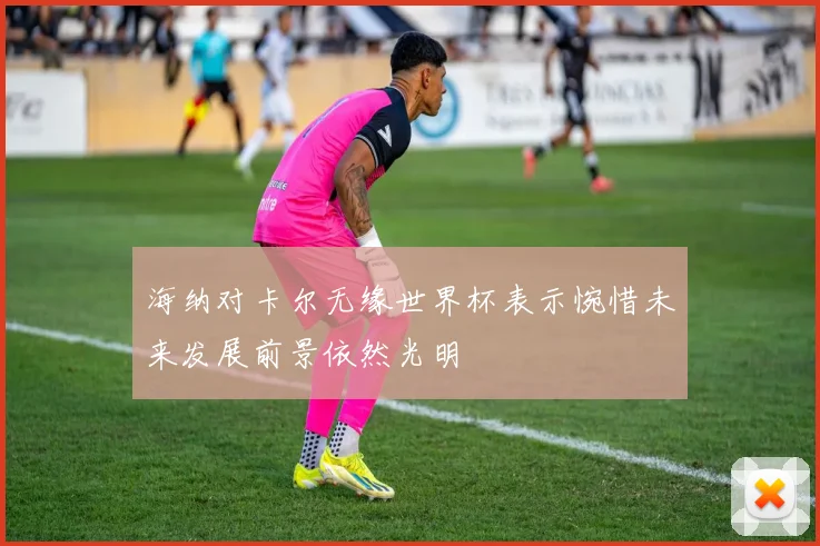 海纳对卡尔无缘世界杯表示惋惜未来发展前景依然光明