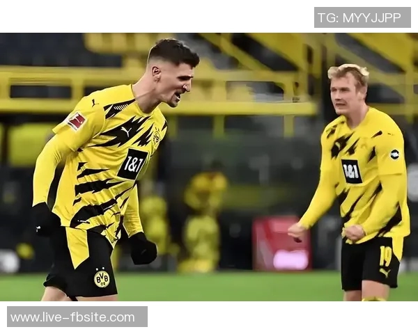 德甲精彩回顾：多特顺利取胜药厂意外失分斯图加特再创佳绩